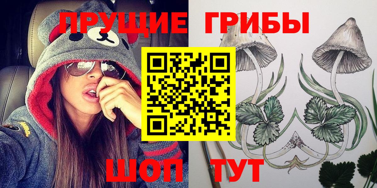 Галлюциногенные грибы Cubensis Лениногорск